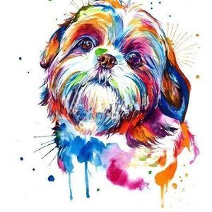 Meet your Posher, Summer